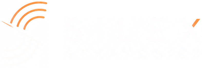 Silex Strategies